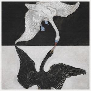 Stampa artistica The Swan No 1 Black White - Hilma af Klint, (40 x 40 cm)