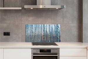 Rivestimento parete cucina Tramonto della foresta di betulle 125x50 cm
