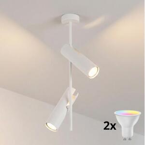 Brilagi - Lampada a sospensione LED RGBW dimmerabile su asta BRANCH 2xGU10/6,5W/230V bianco