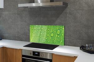 Rivestimento parete cucina Gocce di foglie a macroistruzione 100x50 cm
