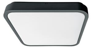 Brilagi-LED Plafoniera per bagno con sensore ZENNA LED/18W/230V 28,5x28,5 cm IP44 antracite