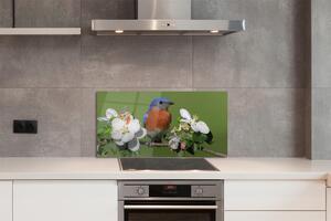 Pannello paraschizzi cucina Fiori di pappagallo colorati 100x50 cm