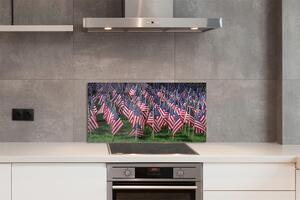 Pannello paraschizzi cucina Bandiere degli Stati Uniti d'America 100x50 cm