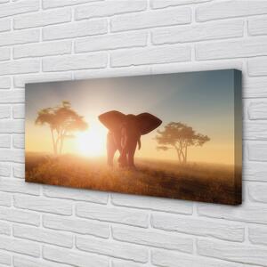 Quadro su tela Albero di elefanti 100x50 cm