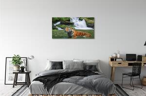 Quadro stampa su tela Tigre a cascata 100x50 cm