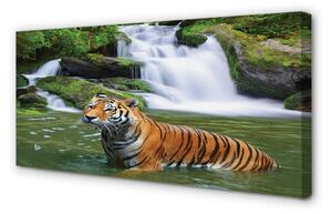 Quadro stampa su tela Tigre a cascata 125x50 cm