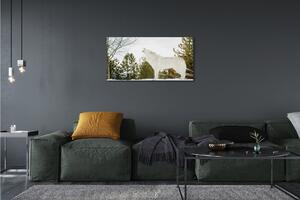 Foto quadro su tela Foresta invernale invernale 100x50 cm
