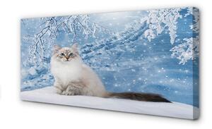 Quadro su tela Gatto in inverno 100x50 cm