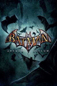 Stampa d'arte Batman Arkham Asylum - Logo, (26.7 x 40 cm)