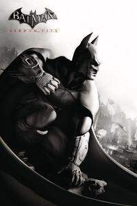 Stampa d'arte Batman Arkham City, (26.7 x 40 cm)