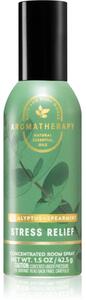 Bath & Body Works Eucalyptus Spearmint profumo per ambienti I 42,5 g