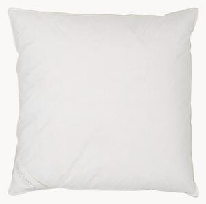 Cuscino in piuma Comfort, rigido, 80x80