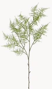 Set di 2 piante artificiali Fern