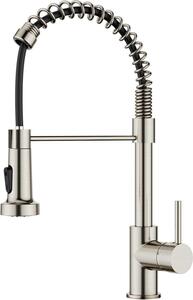 Rubinetto da cucina FORIOUS in acciaio inox con doccetta estraibile