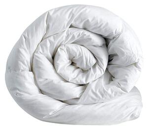 Piumino Matrimoniale Invernale in 50% Piumino e 50% Piumette IGLOO 250x200 cm