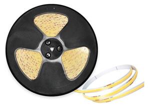 Striscia LED TRAMO LED/50W/24V 5m 6500K