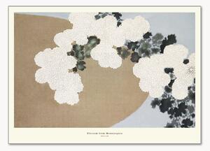Poster Blossom From Momoyogusa