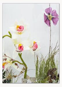 Poster Botanical Remix 9