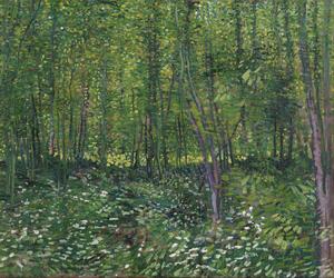 Riproduzione Trees and Undergrowth 1887, Vincent van Gogh