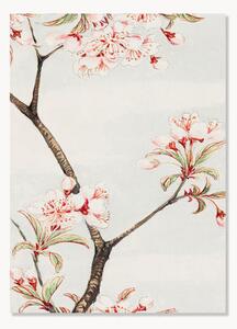 Poster Sakura Cherry During 1870