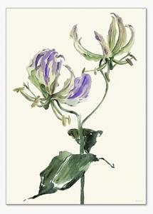 Poster Gloriosa