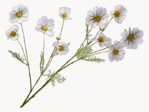 Set di 2 fiori artificiali Cosmos