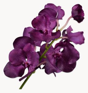 Set di 2 fiori artificiali Vanda