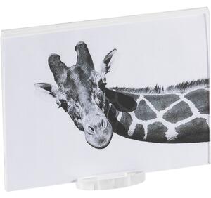 Photo frame big air trasparente incolore, spessore 10-2 mm