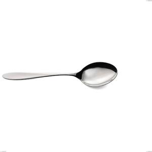 Cucchiaio da servizio oasi, Acciaio inox Aisi 304 Posate Lucide, spessore 2 mm, lunghezza 243 mm