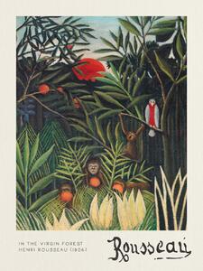Stampa artistica Monkeys Parrot In the Virgin Forest - Henri Rousseau, (30 x 40 cm)