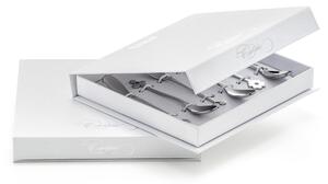 Cucchiaini Cappuccino e macedonia CADEAU in acciaio 18.10 AISI430 126 mm finitura inox lucido in confezione a Libro