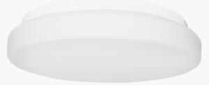 Plafoniera a LED con luce regolabile Ocean I