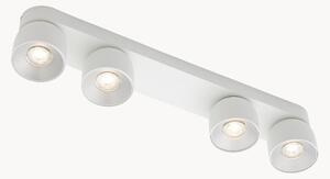 Faretti da soffitto con luce regolabile Pitcher