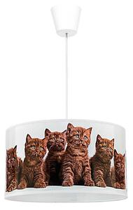 Duolla - Lampadario a sospensione per bambini CATS 1xE27/40W/230V diametro 35 cm