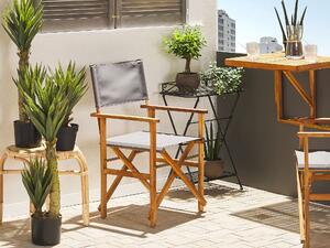 Set di 2 sedie da regista da giardino in legno chiaro con tessuto di ricambio in tessuto di acacia grigio fenicottero con 2 Tele intercambiabili Beliani