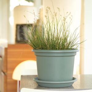 Vaso per piante e fiori Guya Greener EURO3PLAST in plastica colore verde H 19 cm, Ø 25 cm