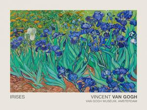 Riproduzione Irises Museum Vintage Floral Flower Landscape - Vincent van Gogh, (40 x 30 cm)