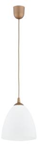 Lampadario a sospensione con filo LERA 1xE27/15W/230V oro