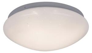 Rabalux 3936 - Plafoniera LED LUCAS LED/12W/230V 260mm