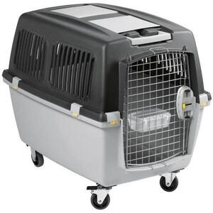 Scatola da trasporto Gulliver 52 × 51 × 72 cm grigio chiaro/grigio scuro