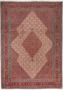Tappeto Sarab Fine Persia Geometrico Terra Di Siena Crema 265x370 Cm