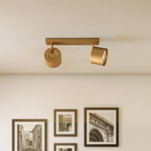 Argon Spot soffitto Chloe regolabile 2 luci, oro