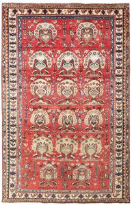 Tappeto Shiraz Persia Astratto Rosso Crema 155x240 Cm