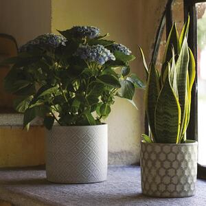 Coprivaso per piante e fiori Deco' Cilindro in ceramica colore verde H 15 cm, Ø 17 cm