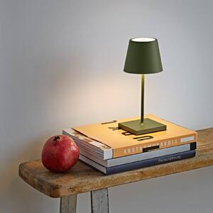 Sigor Nuindie mini lampada da tavolo LED, rotonda, USB-C, verde abete