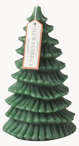 Candela a pilastro Cypress & Fir
