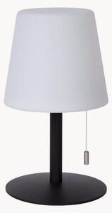 Lampada decorativa LED outdoor dimmerabile con cambio di colore Rio