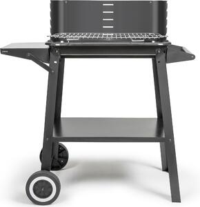 Barbecue a carbonella 48,5 x 28,8 cm Livoo DOC328