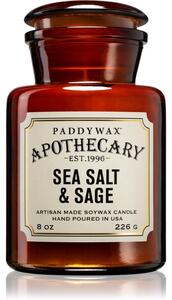 Paddywax Apothecary Sea Salt & Sage candela profumata 226 g