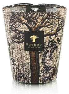 CANDELA BAOBAB MAX 16 SACRED TREES MORONDO MAX16STM